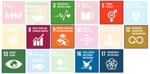 Sustaiable Development Goals-1